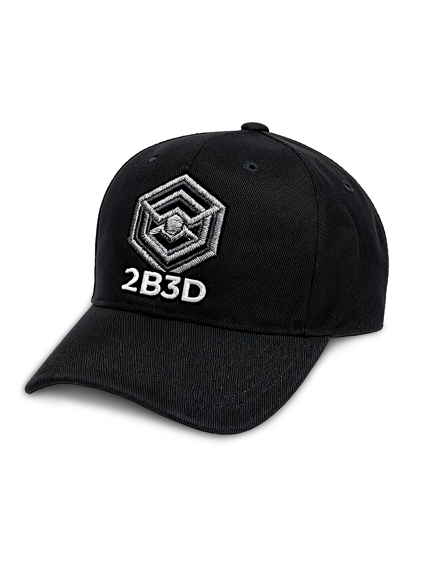 2B3D Embroidered Logo Hat
