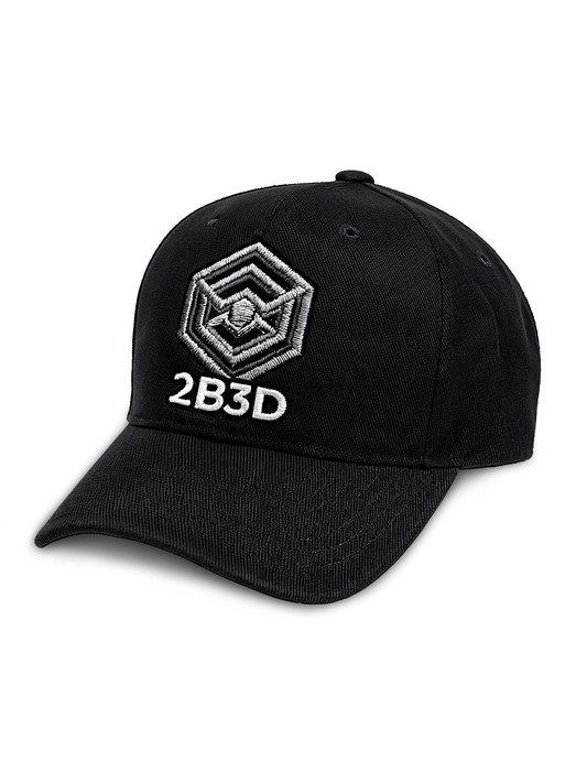 2B3D Embroidered Logo Hat